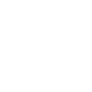 Complete Hair by Haley logo white with salon scissors and flowers